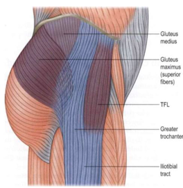 Hip Bursitis? . . . It may not be what you think. - Matrix Therapy